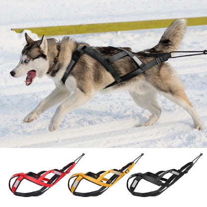 Dog Sledding Harness Reflective Weight Pulling Vest