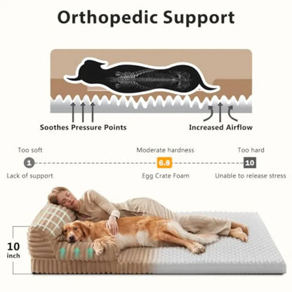 Foldable Human Dog Bed with Washable Cover