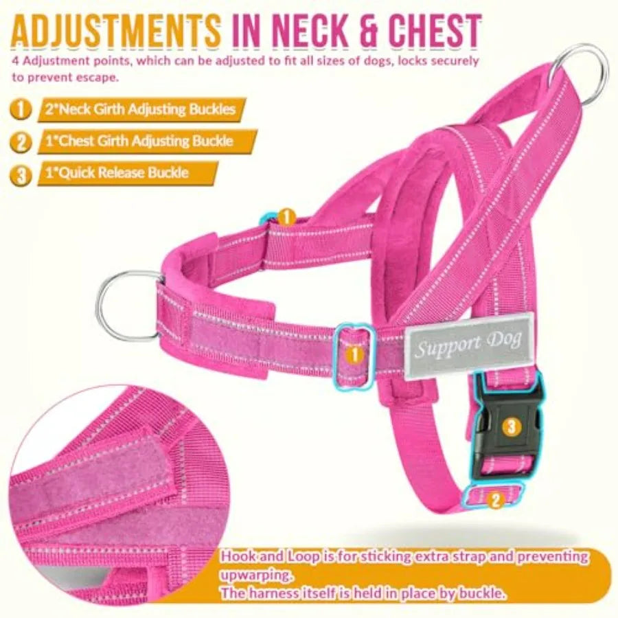 No Pull Dog Harness/ Leash Set
