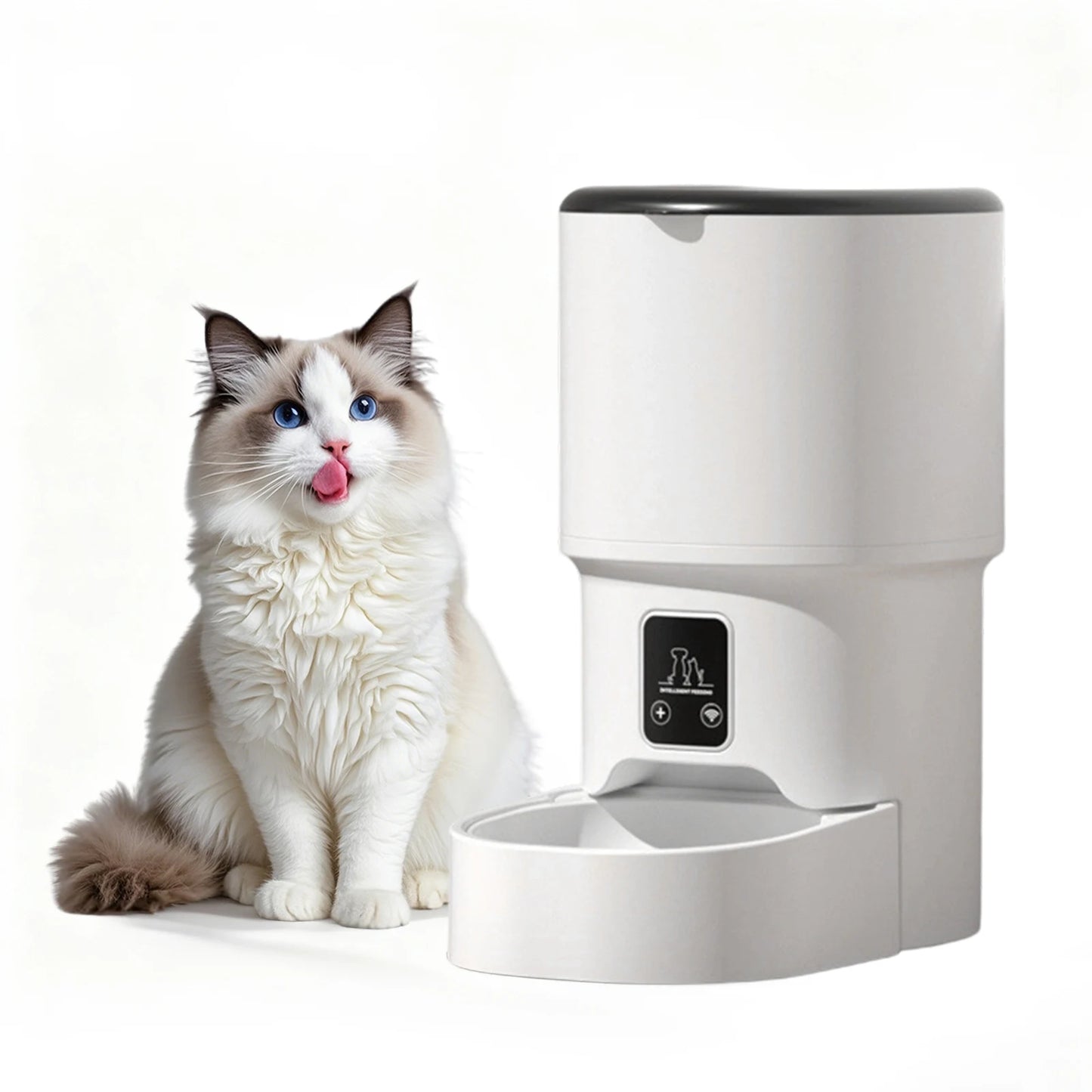 Automatic Cat Feeder with Timer Up to 6 Meals Per Day