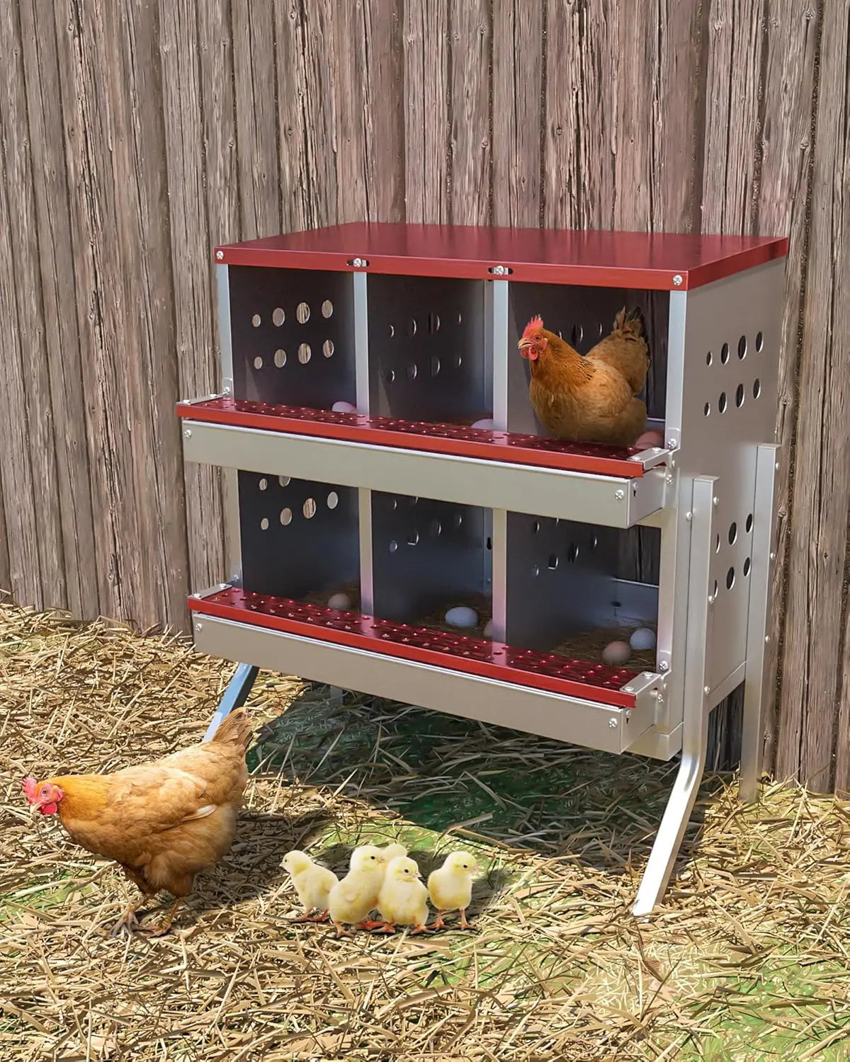 Metal Chicken Coop Nesting Box Roll Out Egg
