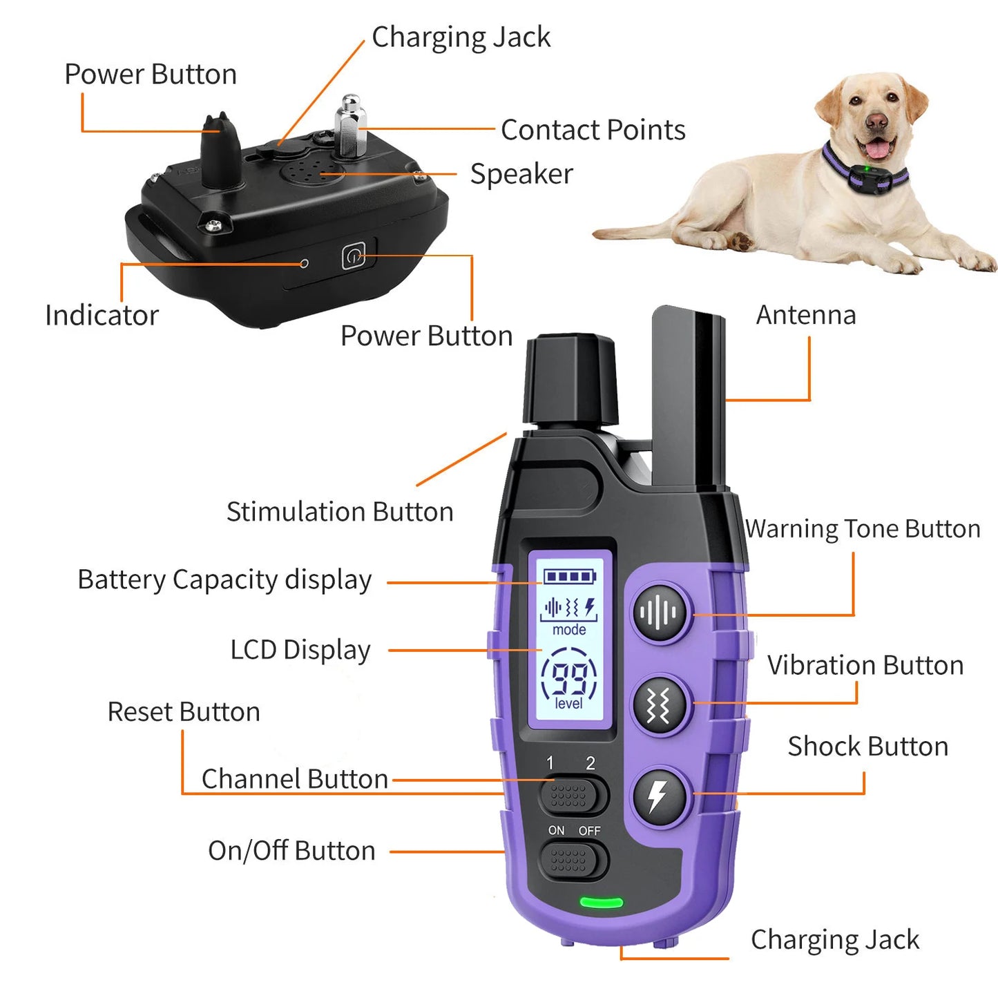 Electric Dog Training Collar Remote Control 3300Ft