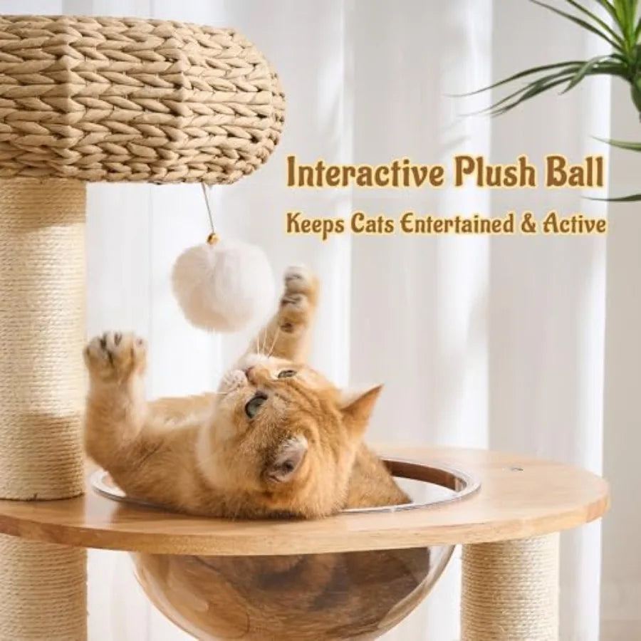Cat Tree for Large Indoor Cats 38in H