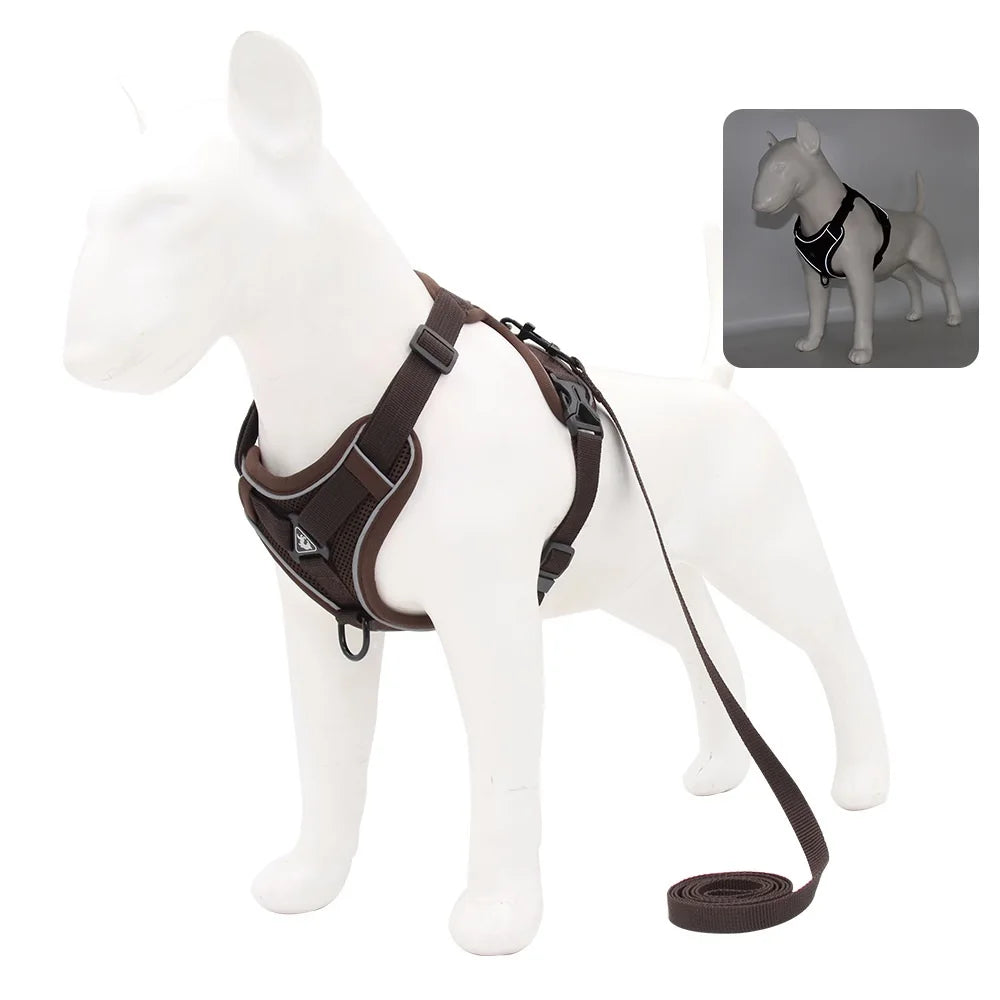 Harness and Leash for Small Dog