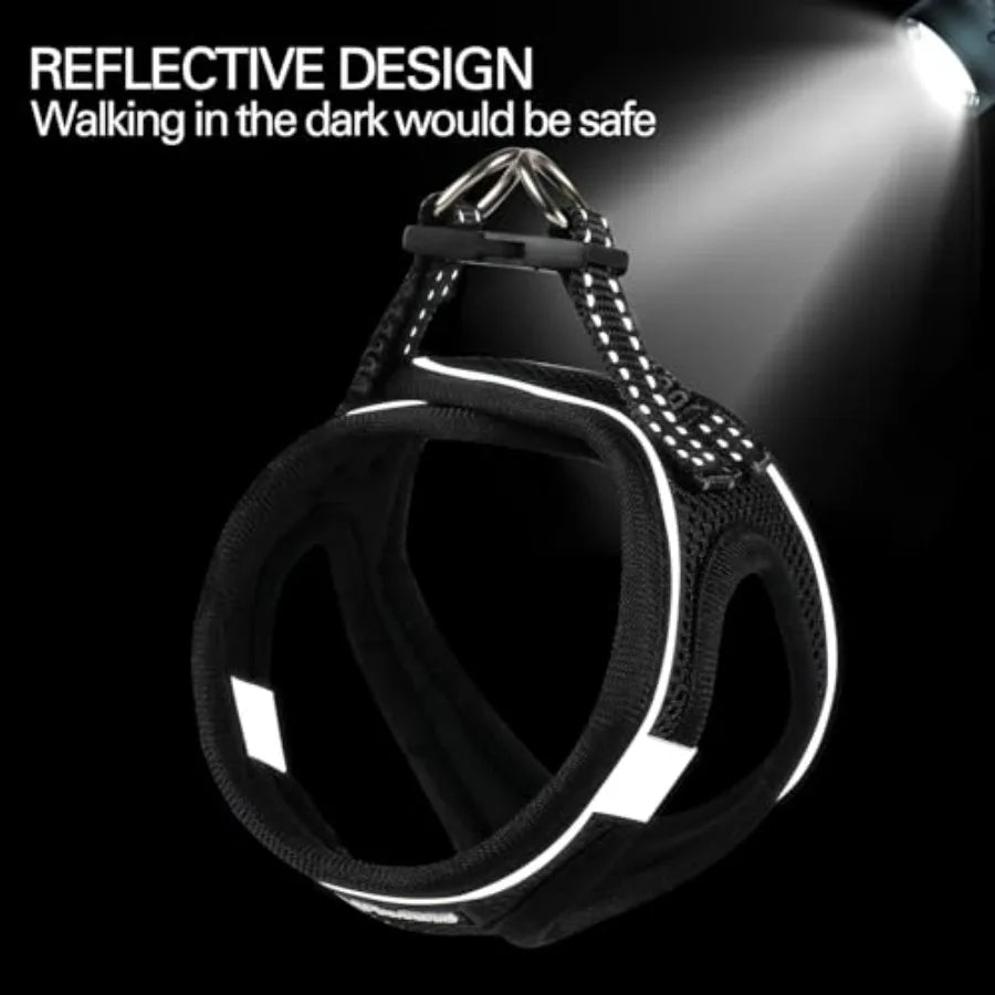 Dog Harness for Small Dogs and Leash Set,