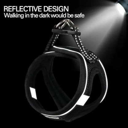 Dog Harness for Small Dogs and Leash Set,