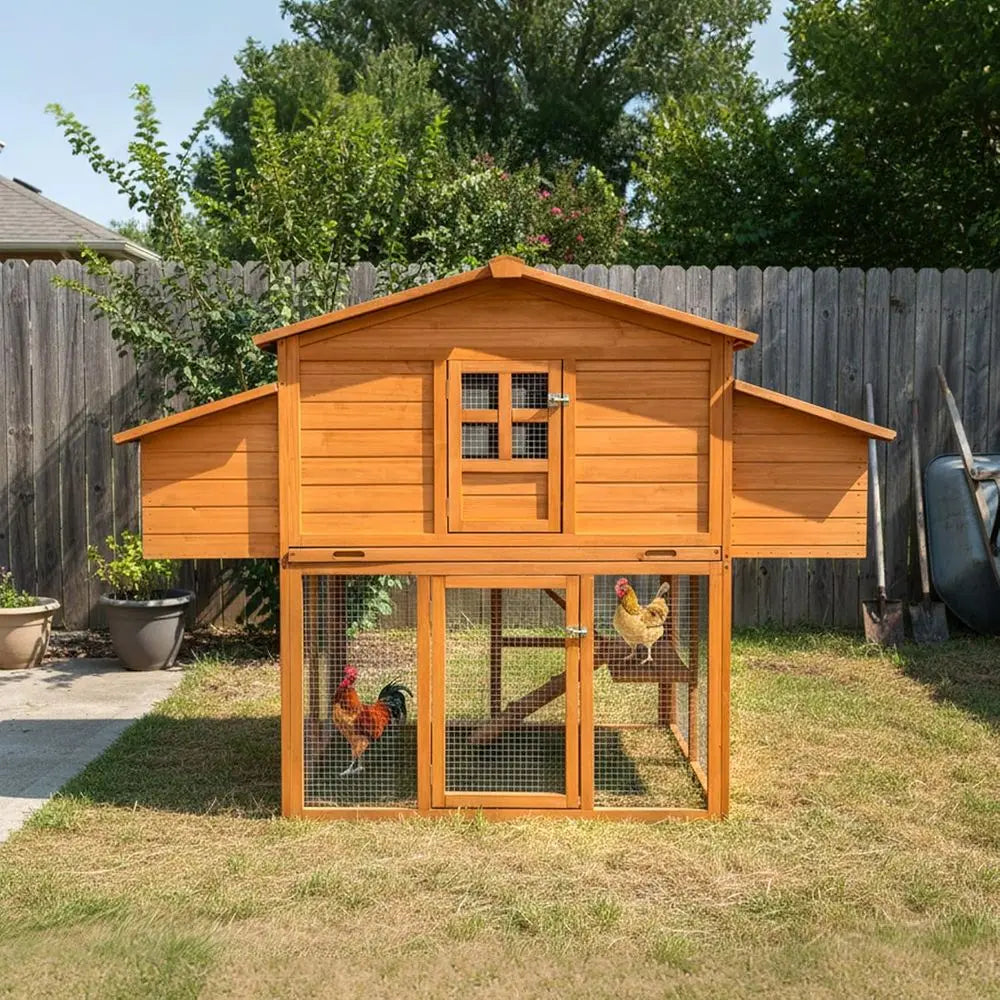 Sturdy Outdoor Chicken Coop with Two Nesting Boxes