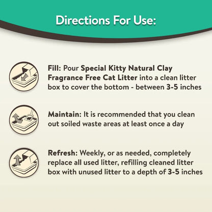 4-Pack 20LB EA Kitty Clumping Clay Cat Litter