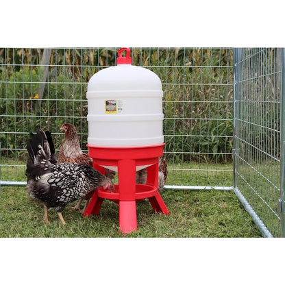 Little Giant 5/8/10 Gallon Plastic Dome Poultry Waterer,