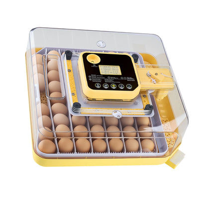Egg Incubator with LED Candler Temperature Display