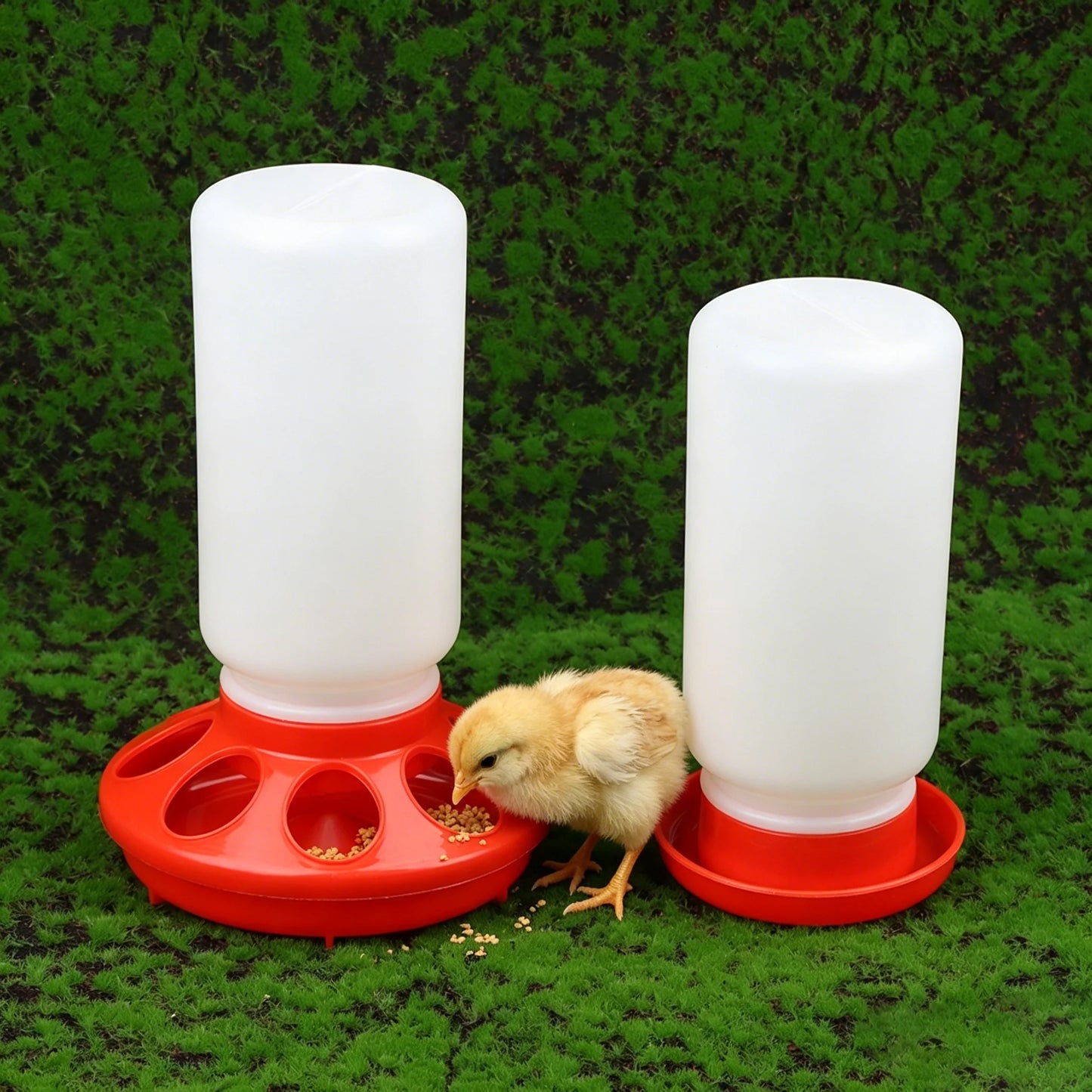 Poultry Pigeon Thickened Feeder and Water Dispense