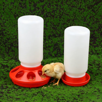 Poultry Pigeon Thickened Feeder and Water Dispense