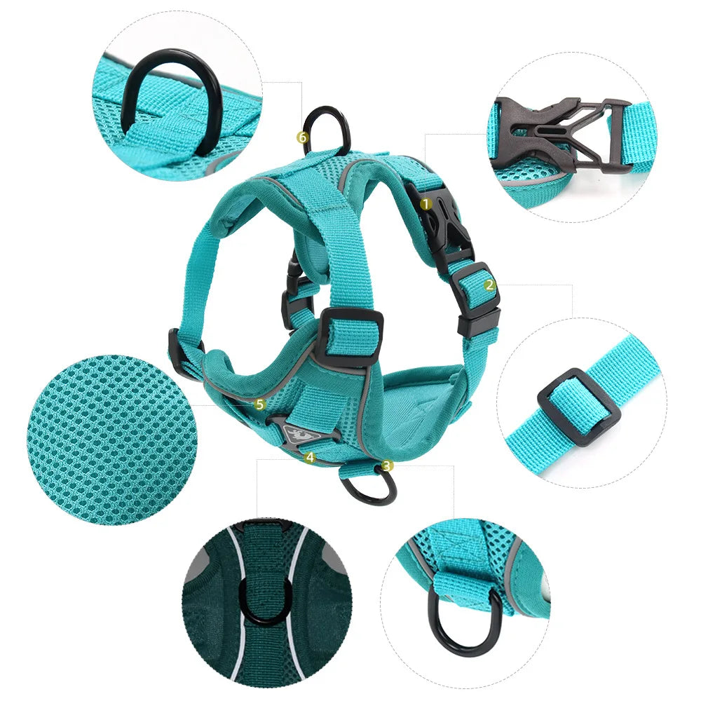 Harness and Leash for Small Dog