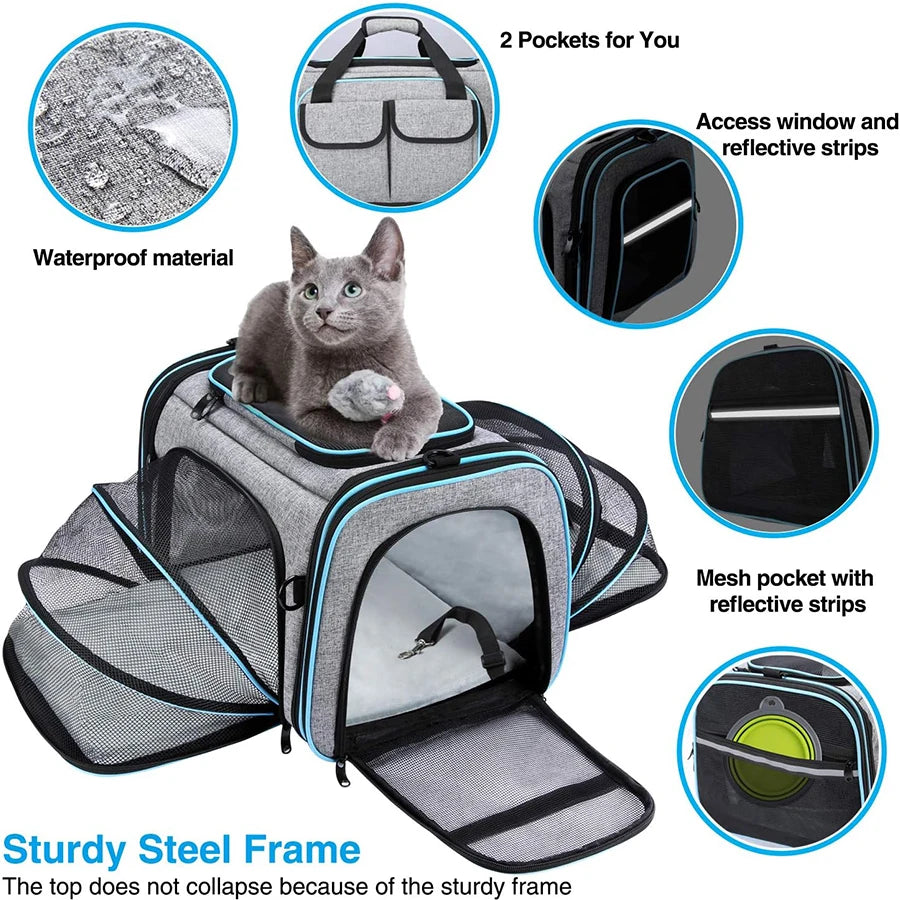 Airline-Approved Expandable Pet Carrier for Small Dogs & Cats