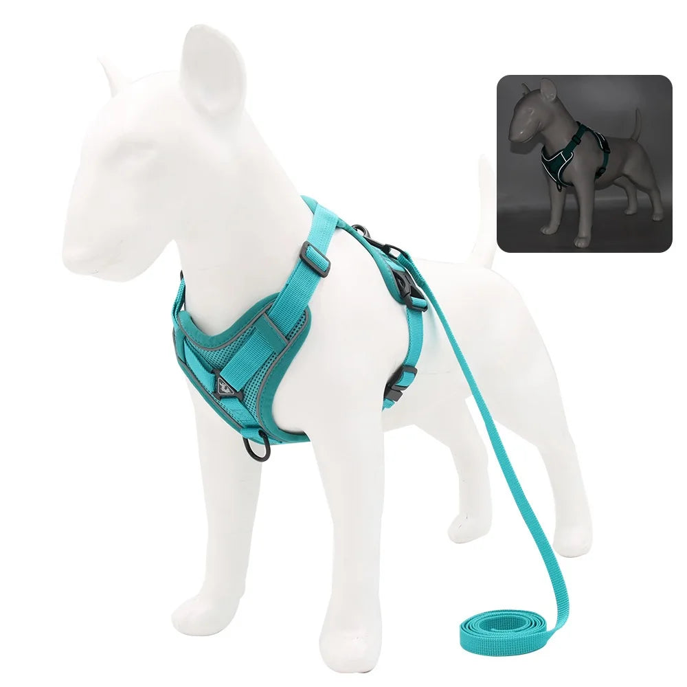 Harness and Leash for Small Dog