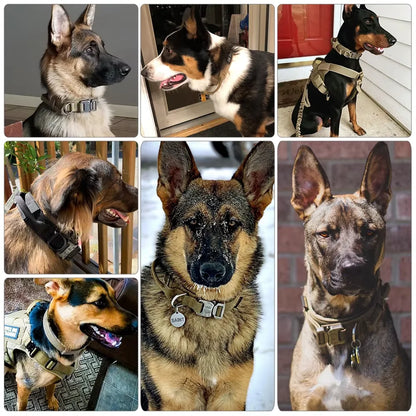 Dog Training Collar Adjustable Tactical W/ Leash