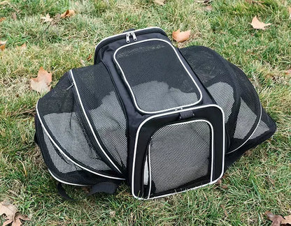 Airline-Approved Expandable Pet Carrier for Small Dogs & Cats