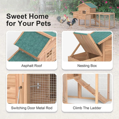 Outdoor Chicken Coop for 2-4 Chickens