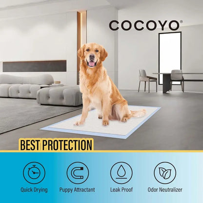 Large-Size Dog Training Pads (30 Count, L 26x30 inch)