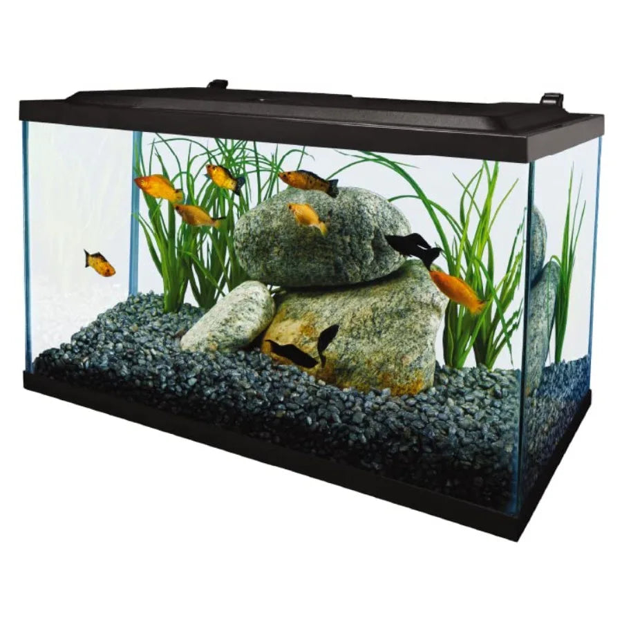 Aquarium, 10 Gallon, Complete Tropical Fish Tank Kit