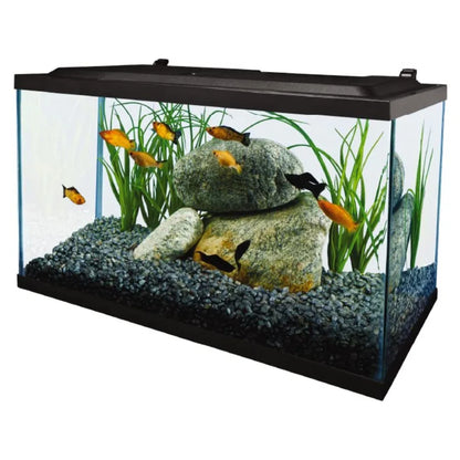 Aquarium, 10 Gallon, Complete Tropical Fish Tank Kit