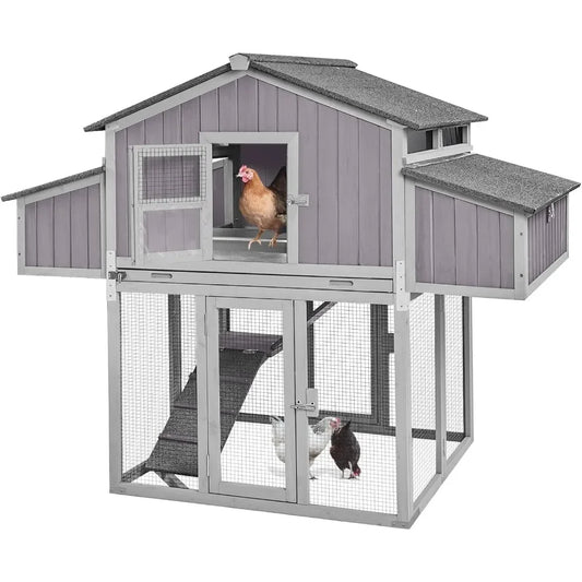 Large Chicken Coop for 6–8 Chickens