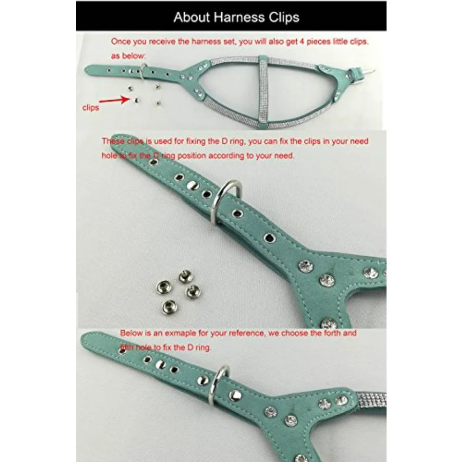 Dog Collar and Harness and Lead Sets