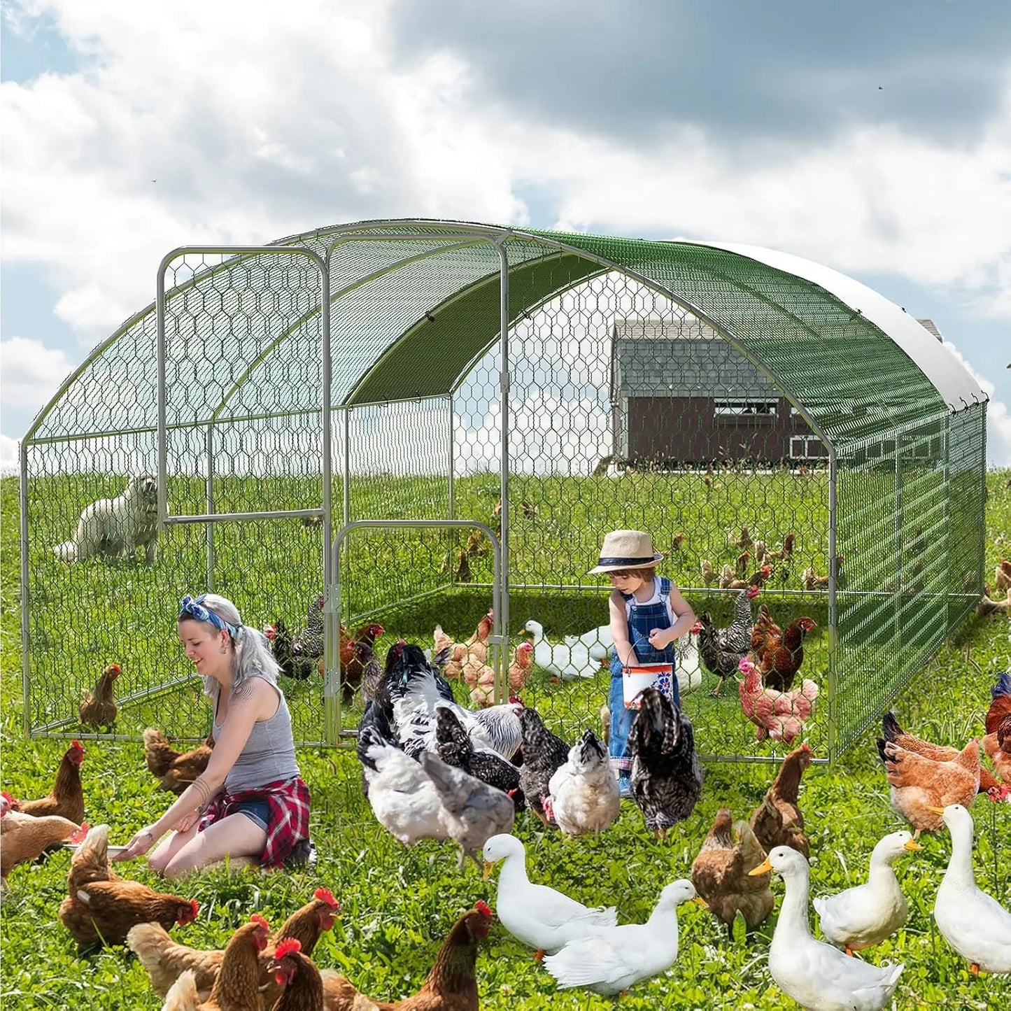 Large Metal Chicken Coop