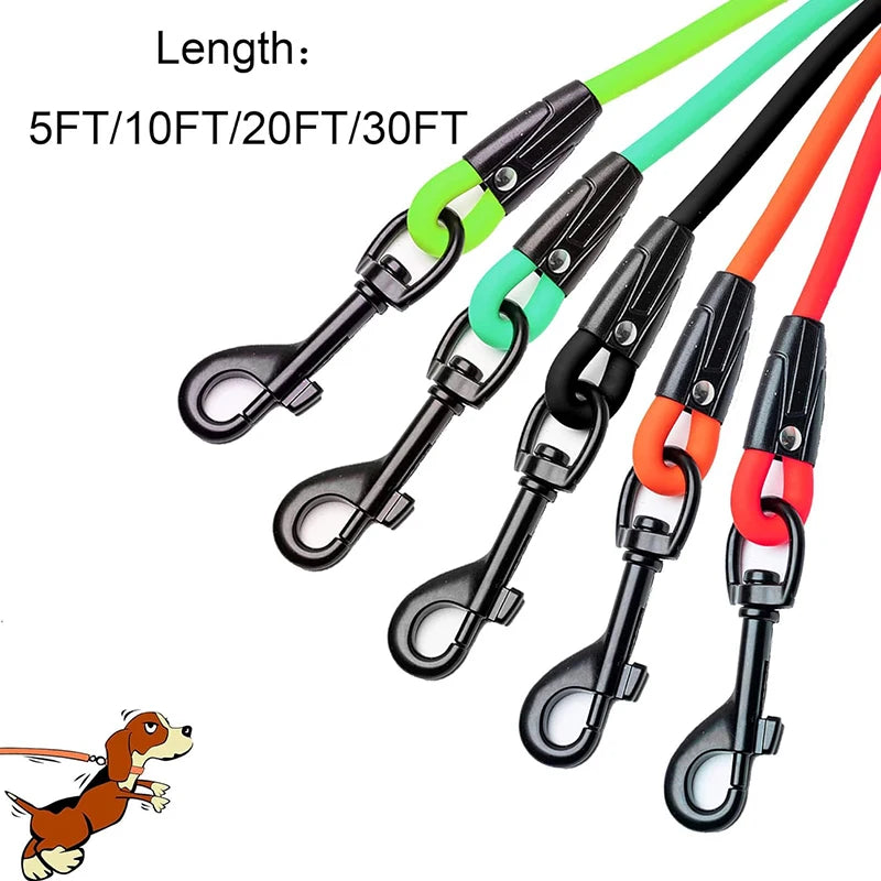 Dog Leash Waterproof Training Recall 5FT 10 FT 20FT 30FT
