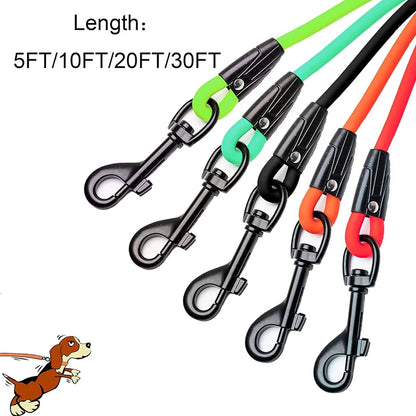 Dog Leash Waterproof Training Recall 5FT 10 FT 20FT 30FT