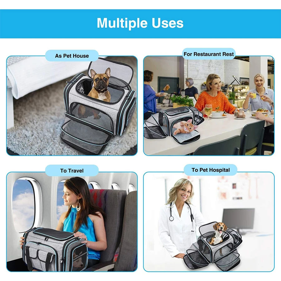 Airline-Approved Expandable Pet Carrier for Small Dogs & Cats