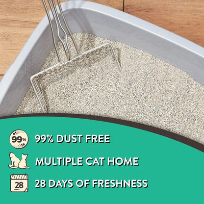 (2 pack) Clumping Clay Cat Litter, Fresh Scent, 20 lbs Jug