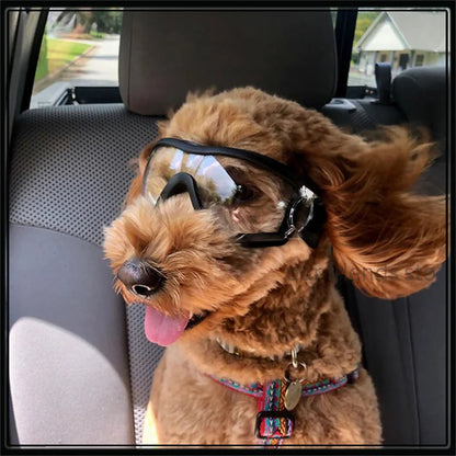 Dog Goggles for Small Breed Dog Sunglasses Windproof