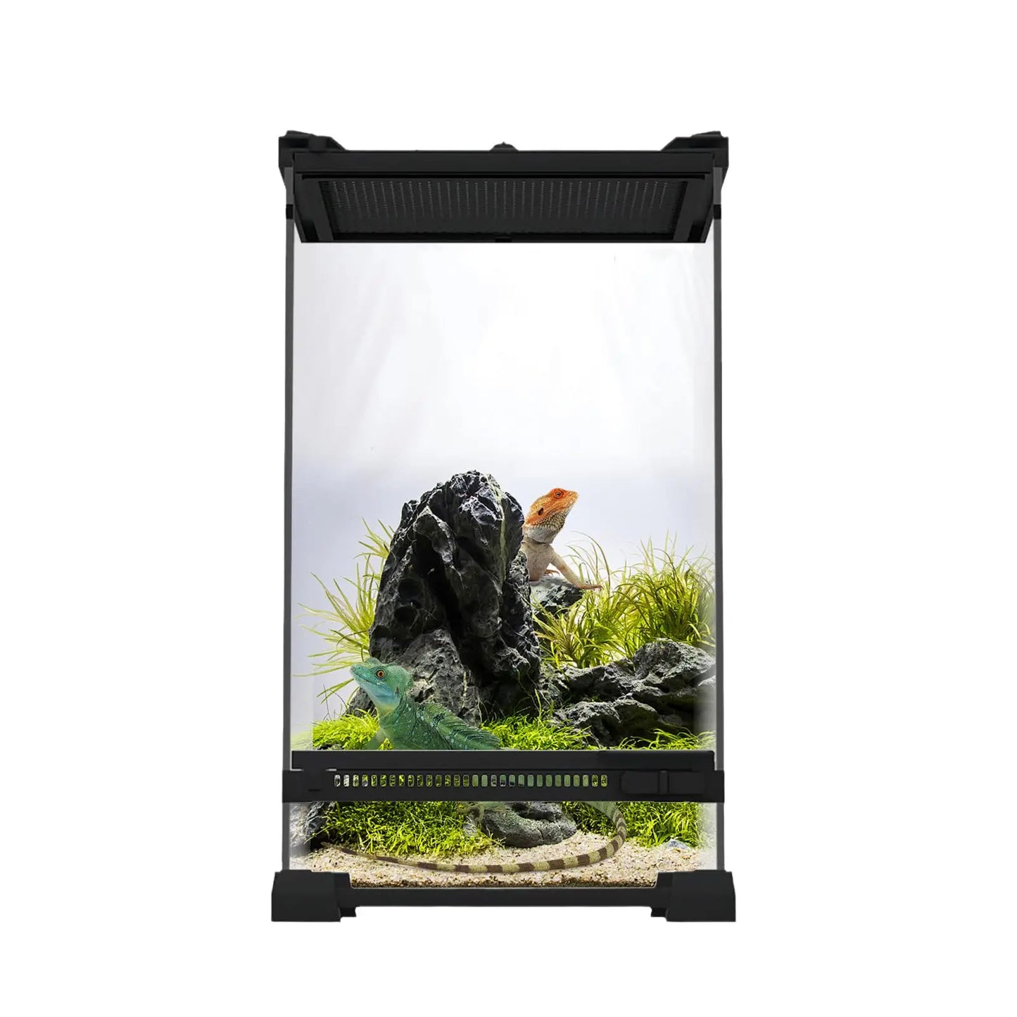 20 x 20 x 30 cm Reptile Feeding Box – Glass Terrarium