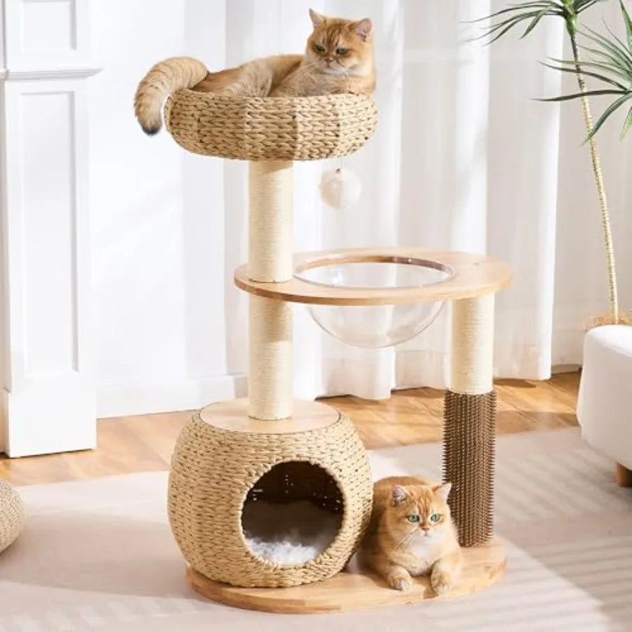 Cat Tree for Large Indoor Cats 38in H