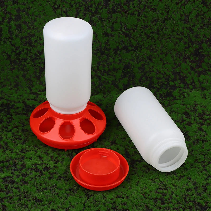 Poultry Pigeon Thickened Feeder and Water Dispense