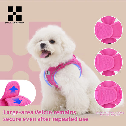 Dog Harness Leash Set for Small Medium Dog