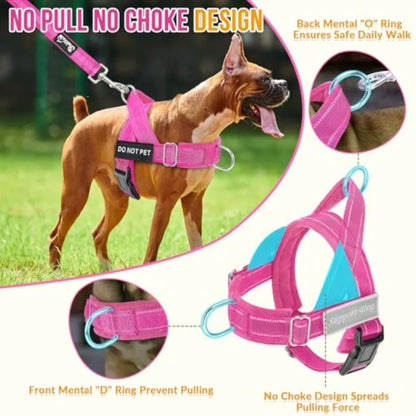 No Pull Dog Harness/ Leash Set