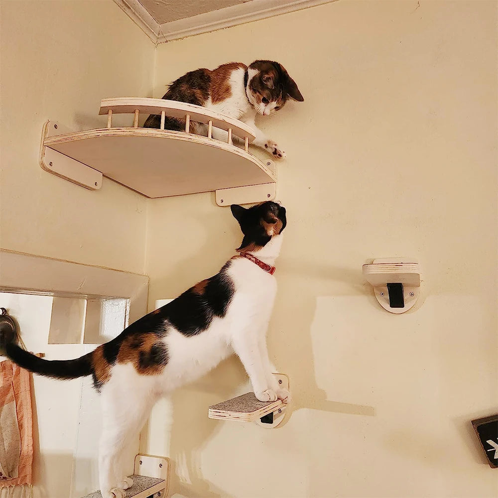 Cat Climbing Shelf Wall Mounted Four Step