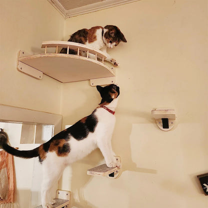 Cat Climbing Shelf Wall Mounted Four Step