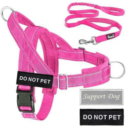 No Pull Dog Harness and Leash Set