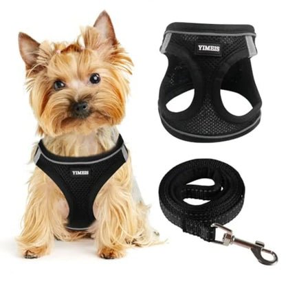 Dog Harness for Small Dogs and Leash Set,