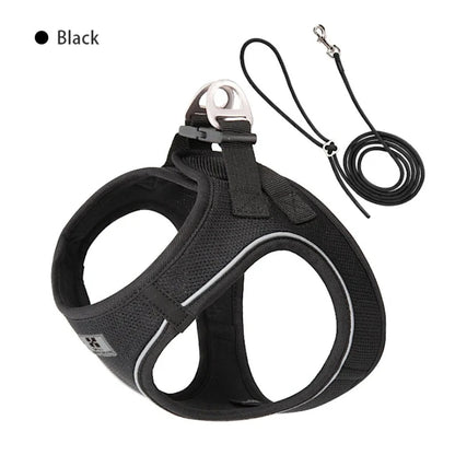 Dog Harness Leash Set for Small Medium Dog