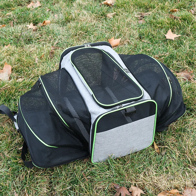 Airline-Approved Expandable Pet Carrier for Small Dogs & Cats