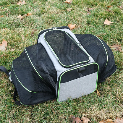 Airline-Approved Expandable Pet Carrier for Small Dogs & Cats
