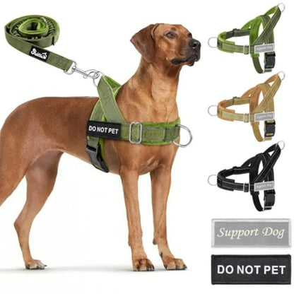 No Pull Dog Harness and Leash Set