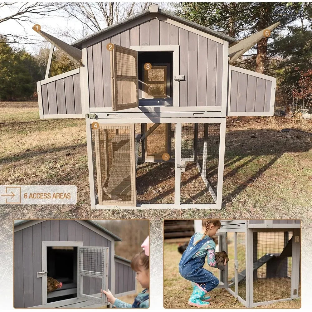 Large Chicken Coop for 6–8 Chickens