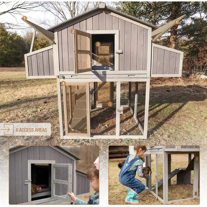 Large Chicken Coop for 6–8 Chickens