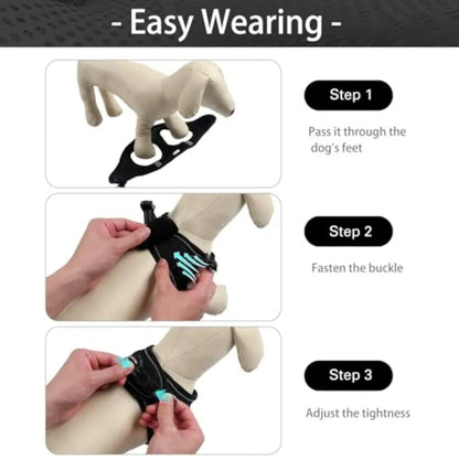 Dog Harness for Small Dogs and Leash Set,