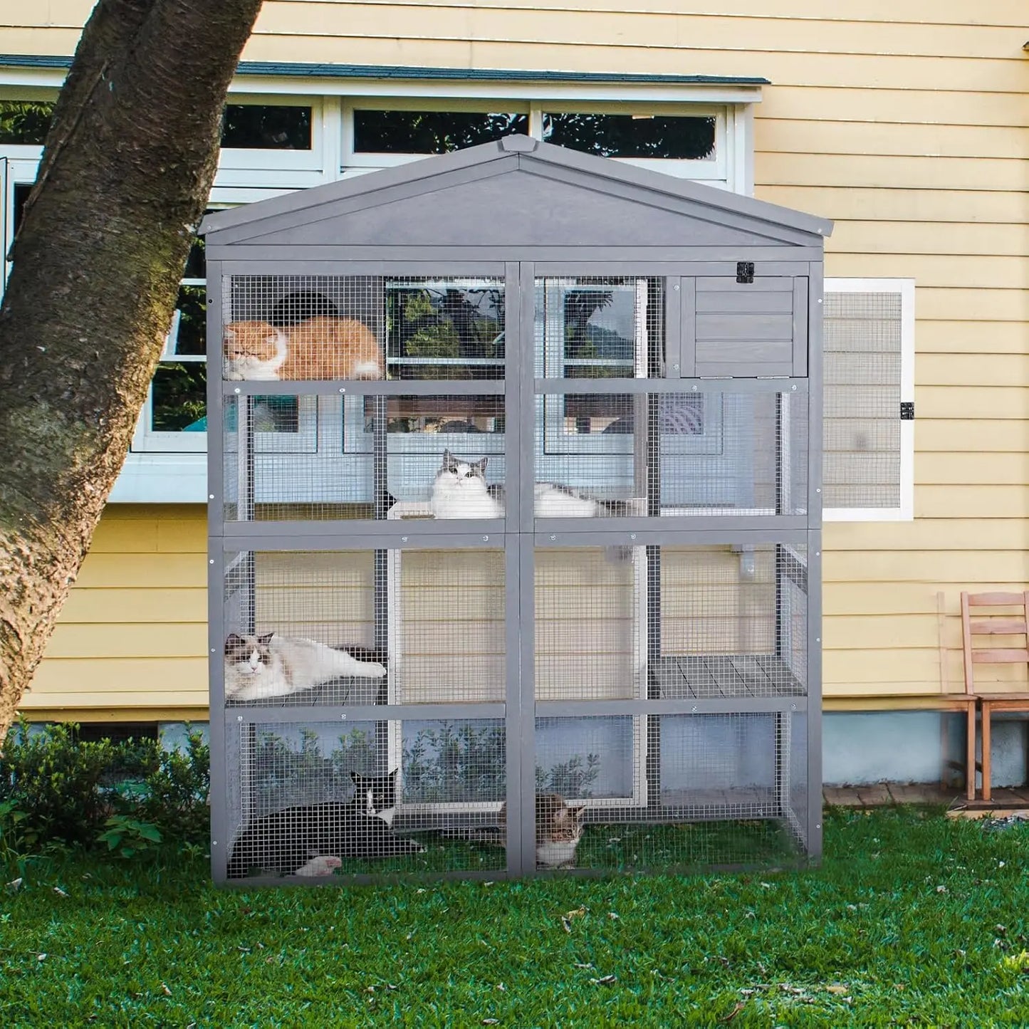 Outdoor Cat Enclosure 71in Height Large Front Door